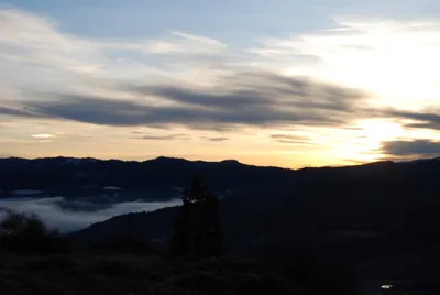 DSC_0709 (Large).JPG